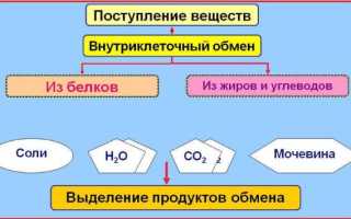 Запоры у детей. Диета и гимнастика ребенка при запоре.