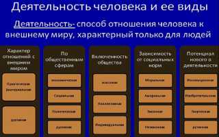 Основные виды деятельности человека — их характеристики и клаcсификация с определениями