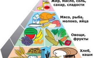 Гарвардская пирамида здорового питания — научно подтвержденная диета